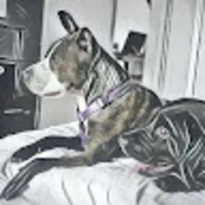 Meet your Posher, Quinton